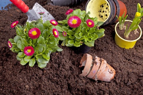 Gardeners Upper Walthamstow caring for a neat local garden