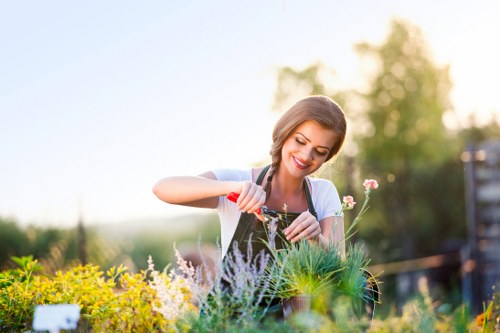 Professional gardening services in Upper Walthamstow for tidy and healthy outdoor spaces
