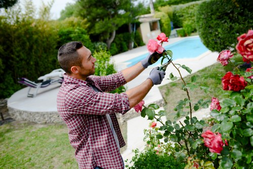 Upper Walthamstow gardeners working in a well-kept residential garden