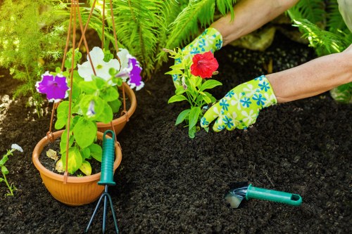 Removing overgrown branches and debris during garden clearance