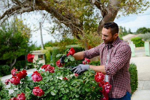 Accessible Gardeners Upper Walthamstow website content with inclusive design focus