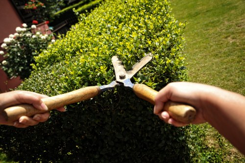Accessibility request support for Gardeners Upper Walthamstow online content