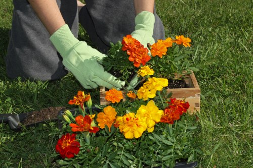 Close-up of hedge cutting tools used for garden maintenance