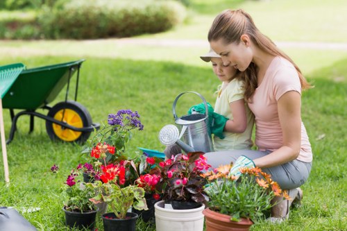 Autumn turf care and overseeding in Upper Walthamstow
