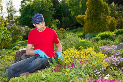 Outdoor planting and paving for Upper Walthamstow gardens