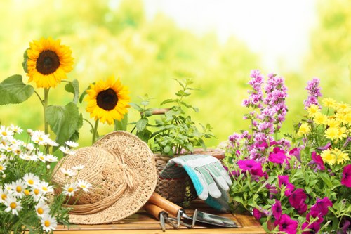 Modern garden landscaping features for a local home