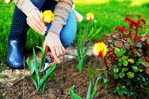 Example garden clearance pricing for terraced homes in Upper Walthamstow