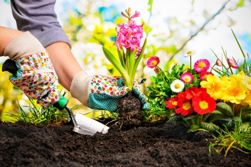 Professional lawn mowing service in a local garden