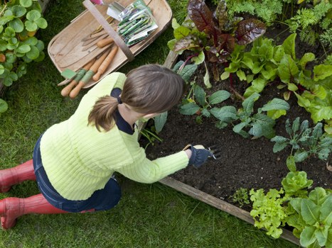 Responsible recycling and composting for garden waste