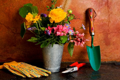 Visual representation of a gardening service issue being assessed
