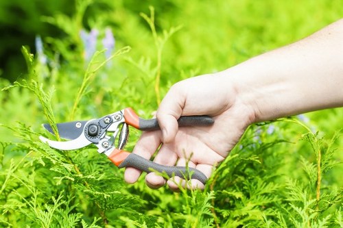 Aeration and feeding for Upper Walthamstow lawns