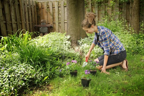 Freshly cut grass and tidy lawn edges