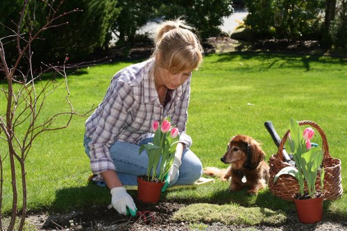 Keyboard navigable local gardening service pages in Upper Walthamstow
