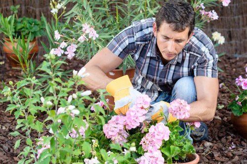 Seasonal planting in a landscaped Upper Walthamstow garden