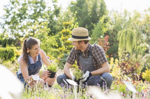Transparent garden maintenance pricing for busy Upper Walthamstow streets