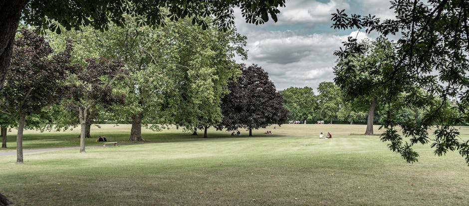 A spacious park scene featuring a large, well-maintained grassy lawn in the foreground, with several mature trees of varying species and colors—some with dense green foliage, others with dark purple