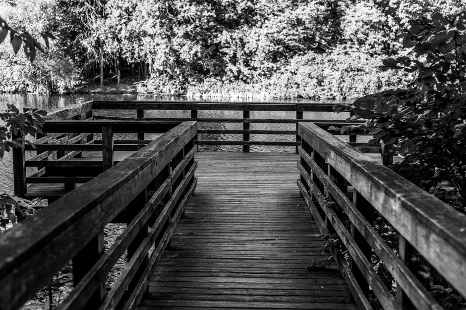 A wooden footbridge with horizontal planks and sturdy handrails extending over a serene pond, surrounded by dense foliage and trees with leafy branches. The surface of the bridge shows slight weatheri